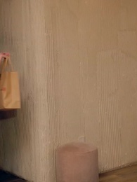 Episodio 54 - [Doppiato]Cuore Rubato, Erede Smarrita