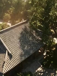 Episodio 25 - [Doblado]749: Legado Mortal