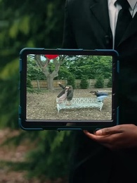 Takdir menemukan kita semula - Episode 43