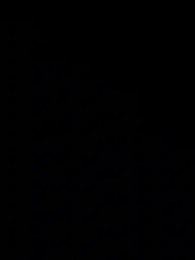 الحلقة 62 - [مدبلج]حين نهضت الأميرة الثانية