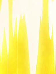 Episodio 4 - [Doppiato]L'Ultimo Guardiano