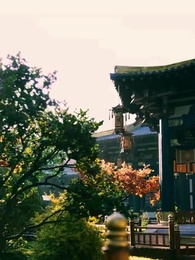 Episode 38 - Vom Lamm zur Wölfin