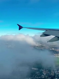 Episode 11 - Mommy, I Saw It Coming!