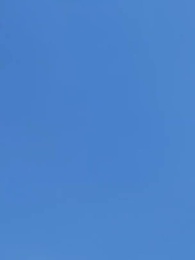 Dompteur de Bêtes : Éveil de la Déesse Primordiale - Episode 27