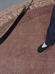 Hidden Phoenix - Episode 42