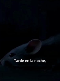 Episodio 7 - [Doblado]Mamá, no miento