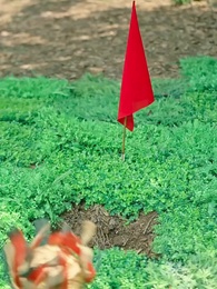 第39話 - 復讐の令嬢、寵愛の罠を切り裂く