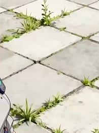 [Dublajlı]Evrimin Yırtıcı Yolu - Episode 28