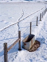 Episode 17 - In Love With A Crippled Farmer (updating)