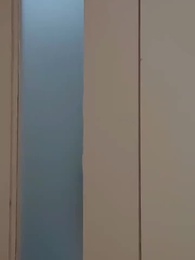 Episódio 84 - [Dublado]Noiva Substituta: Ex-marido, Me Deixe