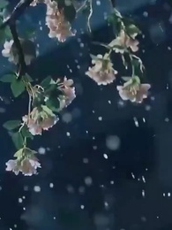 La Revanche de l'Agneau - Episode 54