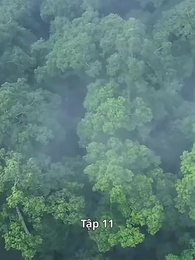 Tập 11 - [Lồng Tiếng] Ma Tôn Tối Cao