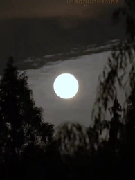 ปลาคาร์ฟนำโชคจากฟากฟ้า - Episode 3