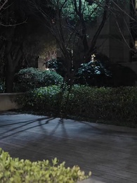 ปลาคาร์ฟนำโชคจากฟากฟ้า - Episode 55