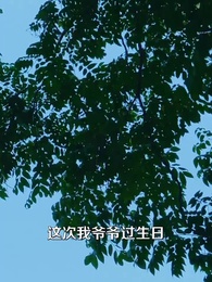 第2集 - 掌心窺愛