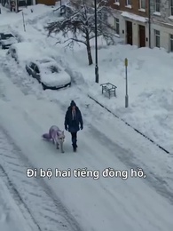 Huyết Khế Thần Cáo Trắng - Episode 17