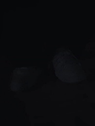 Soñé por Dos Pares de Ojos - Episode 31