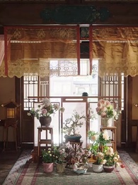 侯府主母要壽終正寢 - Episode 8