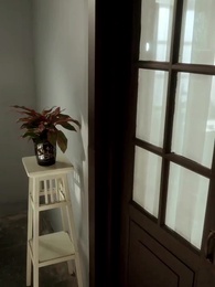 Episodio 48 - [Doblado]Perdí un riñón, gané el mundo