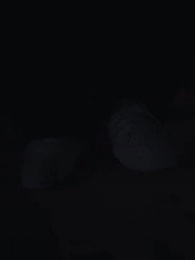 千代千秋～私が伝説の神プレイヤー～ - Episode 31