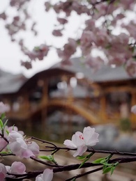 權臣的黑面月光 - Episode 14