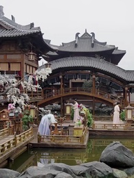 第20集 - 權臣的黑面月光