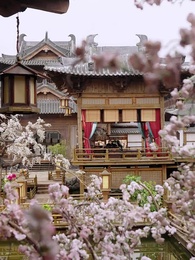 權臣的黑面月光 - Episode 16