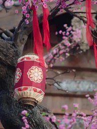 第46集 - 侯府主母要壽終正寢