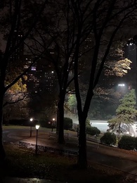 第19集 - 掌心窺愛