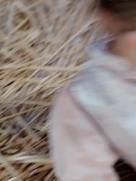 ปลาคาร์ฟนำโชคจากฟากฟ้า - Episode 32