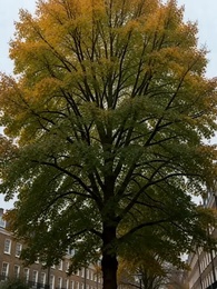 Episode 20 - Twice Burned