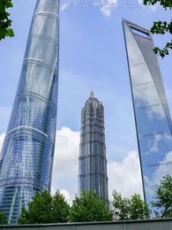 الحلقة 8 - زهرة الحب الذابلة