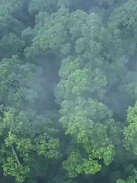 Episode 11 - [Dubbing] Iblis Abadi