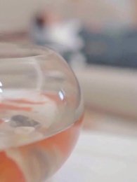 36화 - 참교육은 셀프, 성씨 가문은 내 손에