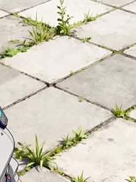 [Дубляж]Путь эволюции - Episode 28