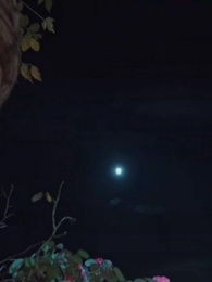 長生萬年被曾孫女直播曝光了 - Episode 74