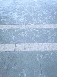 第39集 - 被棄風雪，向暖而生