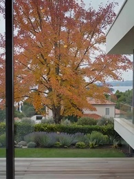 A Son Replaced - Episode 20