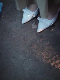 第30集 - 狐仙娶親