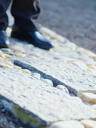 Episode 52 - [Dubbed] One Move: Rewrite Fate & Family