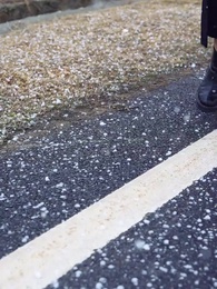 被棄風雪，向暖而生 - Episode 3