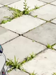 [Lồng Tiếng] Huyền Thoại Ngự Thú Sư - Episode 28