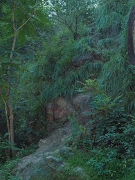 第46集 - 長生萬年被曾孫女直播曝光了