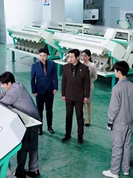 第29集 - 超級大單飛了，誰讓你惹技術一姐