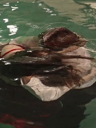 Episodio 6 - [Doppiato]Il Patto  dell'Ombra