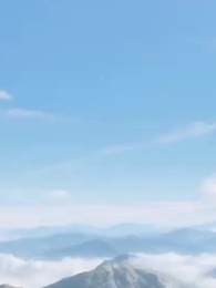 Episode 36 - Behalt deinen Drachen, meine Katze ist Gott