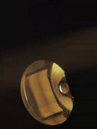 Cú Tát Ngày Thành Hôn - Episode 2