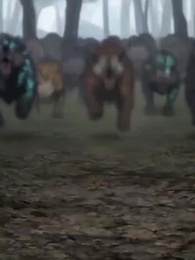 Episode 46 - Behalt deinen Drachen, meine Katze ist Gott