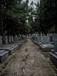 The Ghost Bride’s Revenge - Episode 15