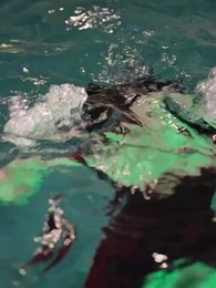 Épisode 5 - [Doublé]La mauvaise mariée du parrain  